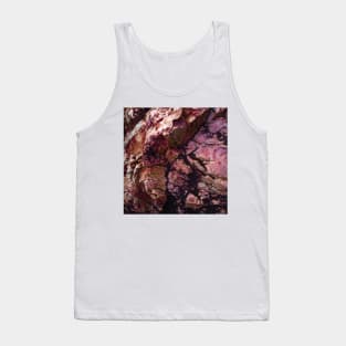 Red rock formation Tank Top
